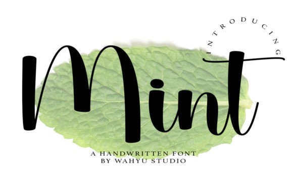Mint Font: A Playful Script for Fresh Branding